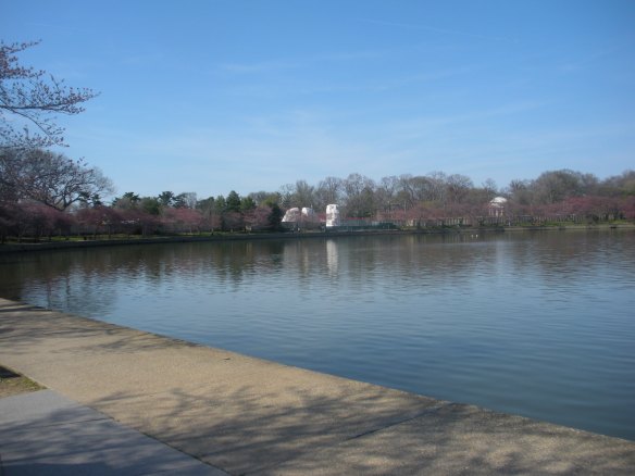 Standing at the far end of the FDR monument, looking toward the unfinished MLK monument, March 2011.