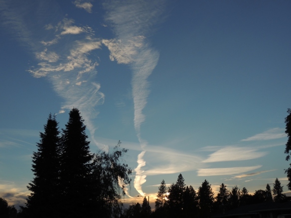 DSCN0700 late summer sunset sky, vapor trails, home, resized